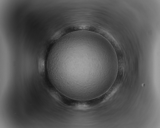 X0000087700262200705111408