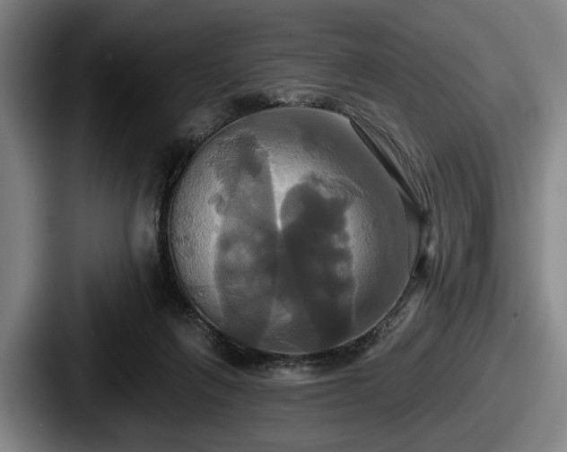 X0000087700263200705111408