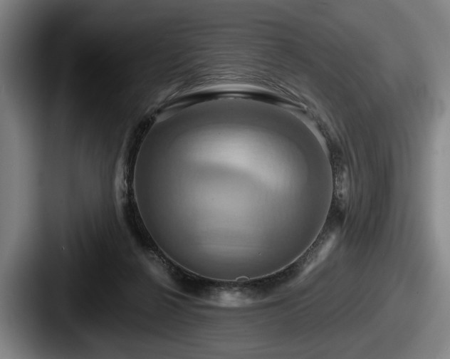 X0000087700264200705111408