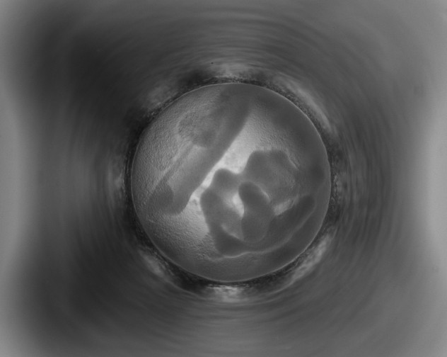 X0000087700265200705111408