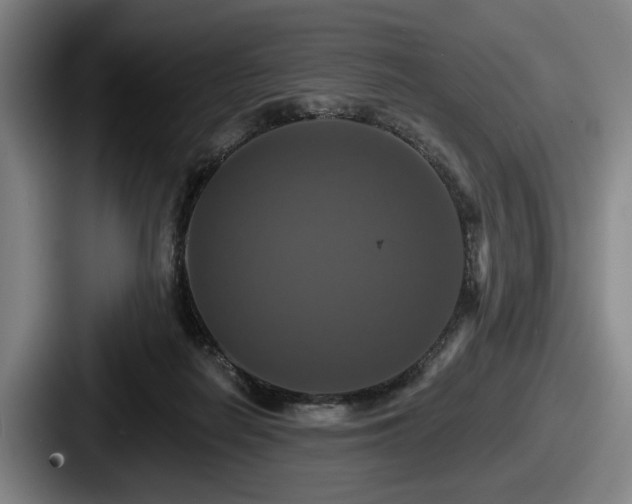 X0000087700266200705111408