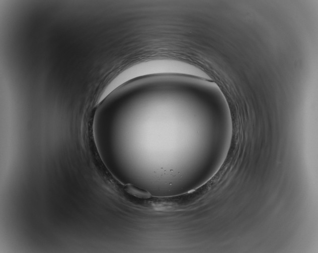 X0000087700268200705111408