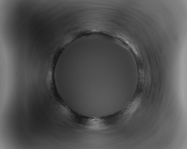 X0000087700269200705111408