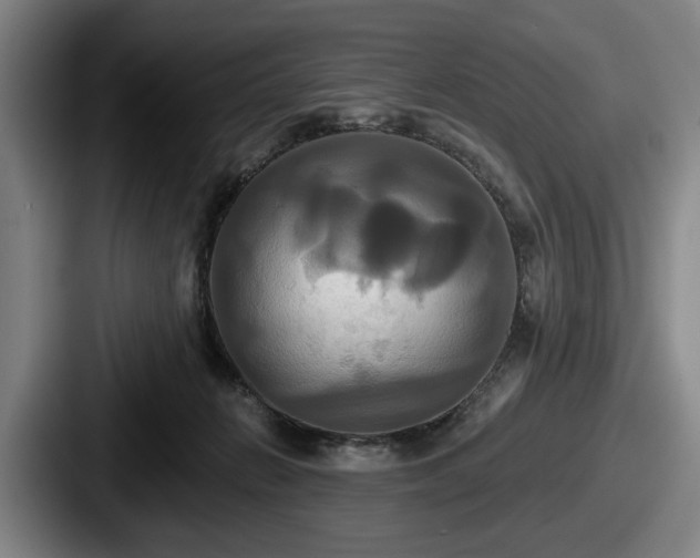 X0000087700270200705111408