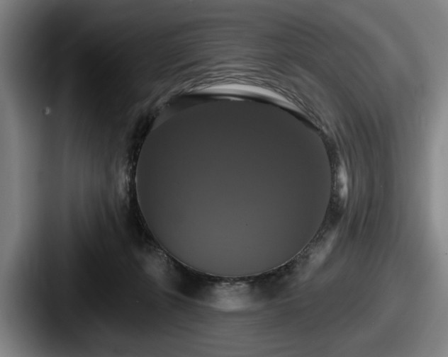 X0000087700271200705111408