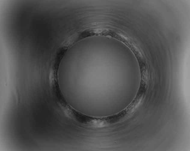 X0000087700272200705111408