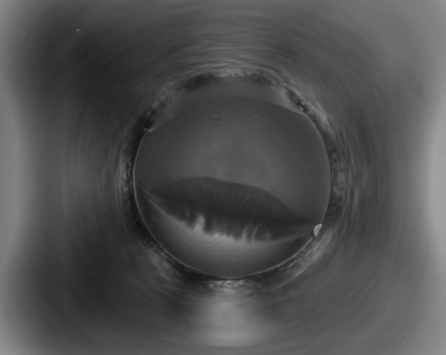 X0000087700273200705111408