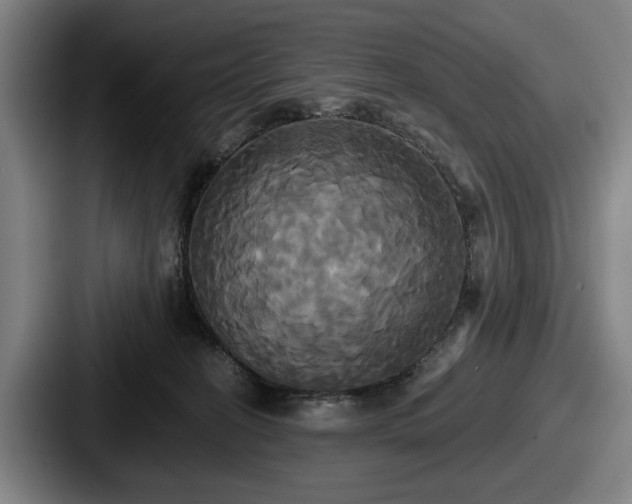 X0000087700274200705111408