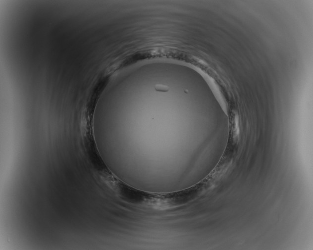 X0000087700276200705111408