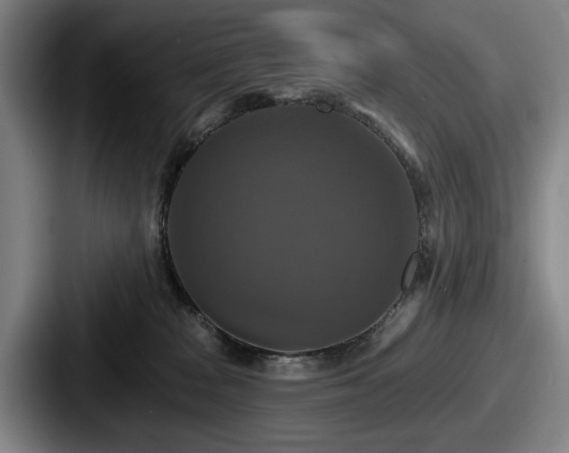 X0000087700277200705111408