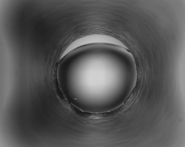 X0000087700280200705111408