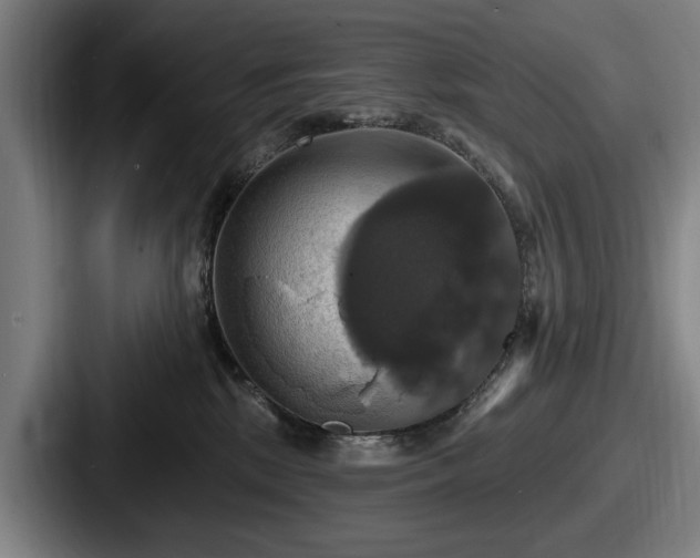 X0000087700281200705111409