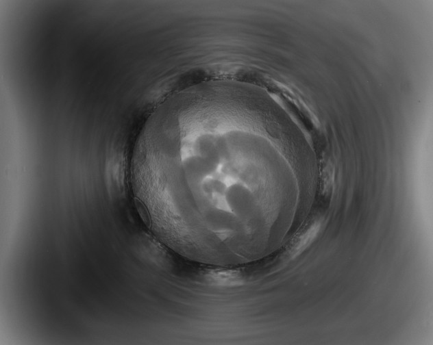 X0000087700283200705111409