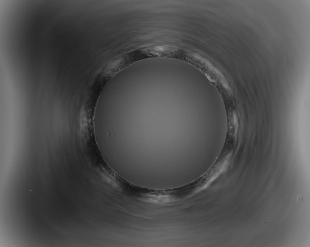 X0000087700284200705111409