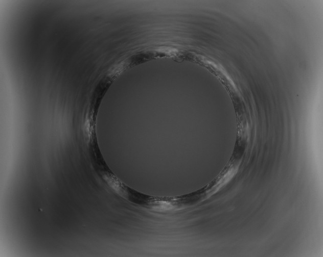 X0000087700285200705111409