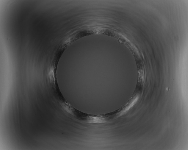 X0000087700286200705111409