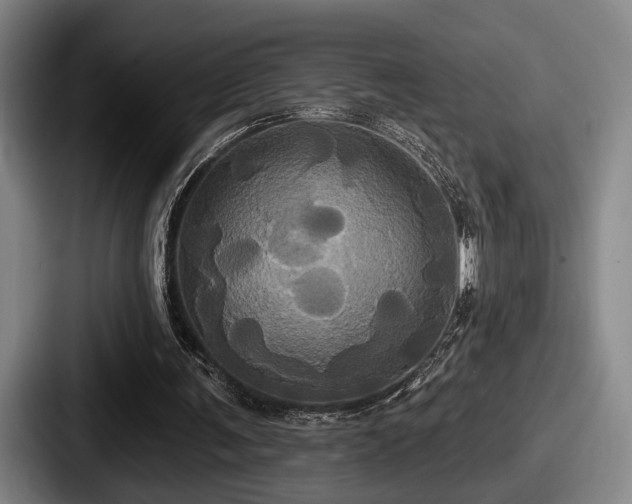 X0000087700291200705111408