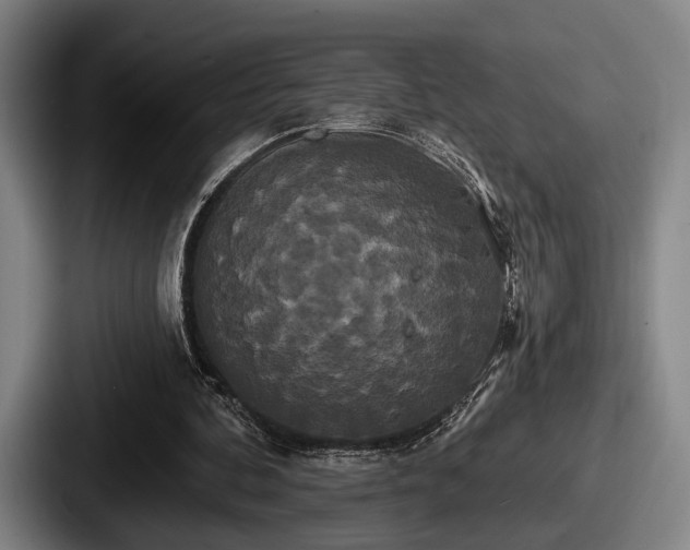 X0000087700292200705111408