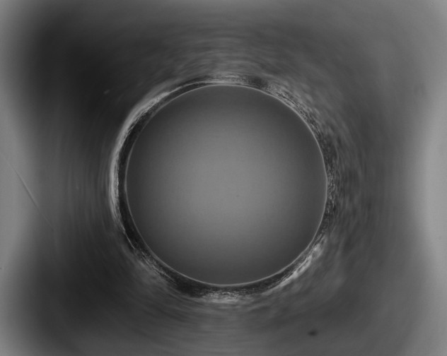 X0000087700294200705111408