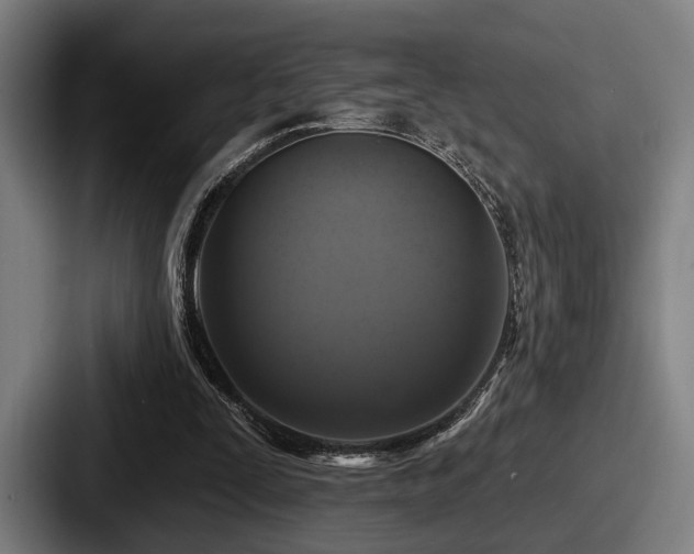 X0000087700295200705111408