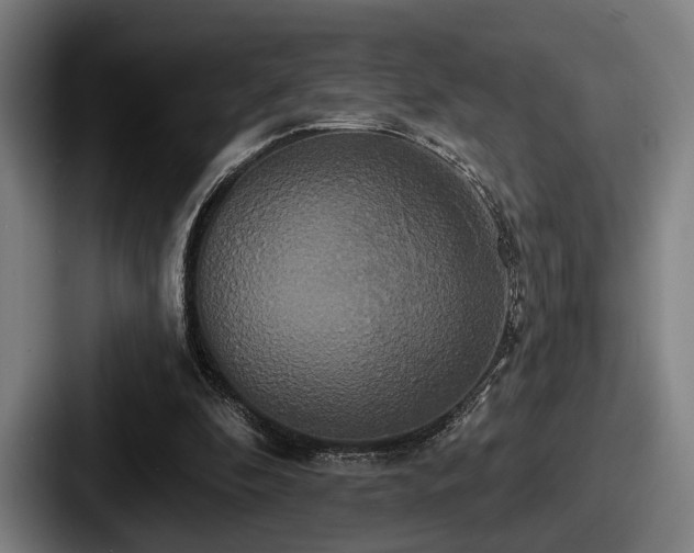 X0000087700296200705111408