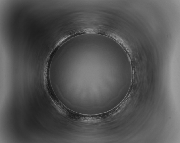 X0000087700297200705111408