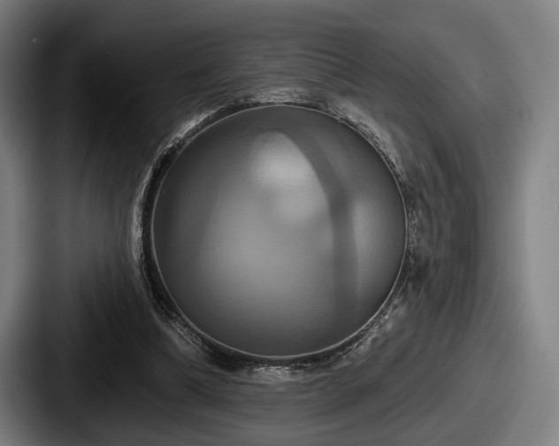 X0000087700298200705111408