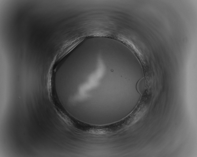 X0000087700299200705111408