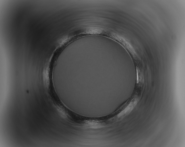 X0000087700300200705111408