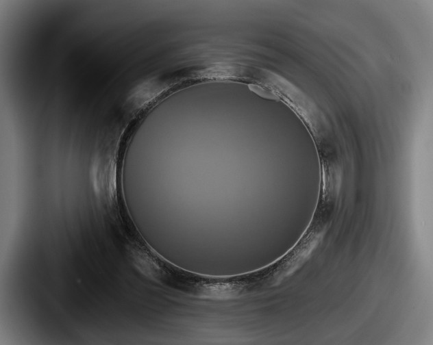 X0000087700301200705111408