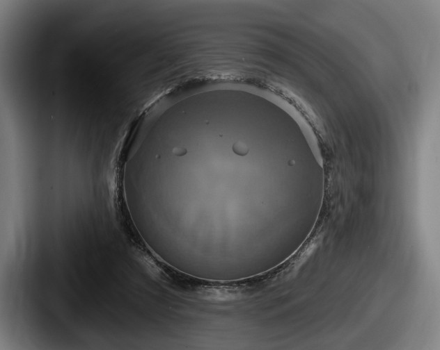 X0000087700305200705111408