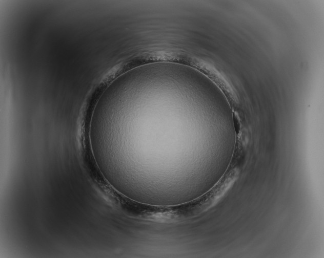 X0000087700306200705111408