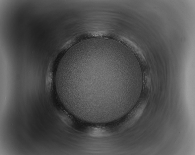 X0000087700308200705111408