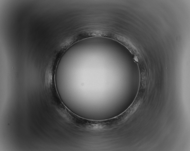 X0000087700310200705111408