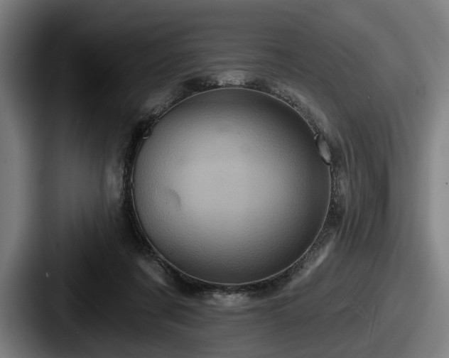 X0000087700311200705111408