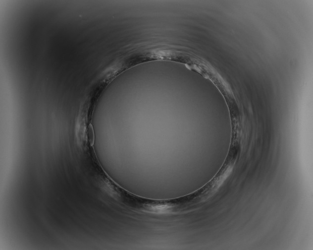 X0000087700313200705111408