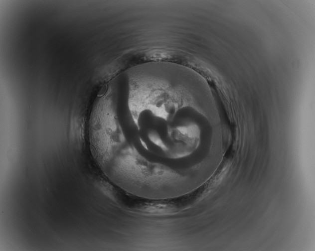 X0000087700315200705111408