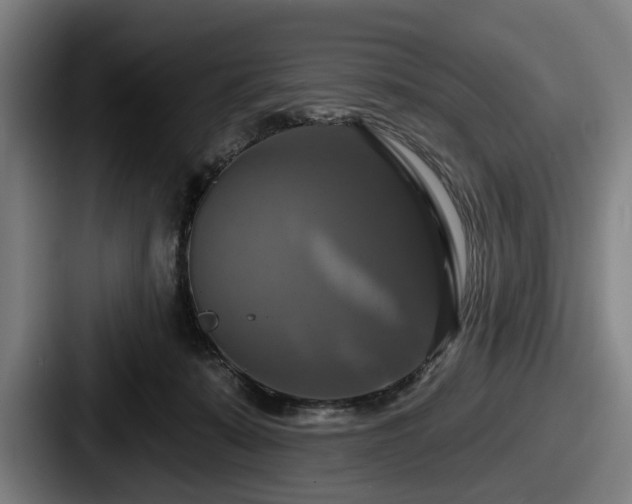 X0000087700319200705111408