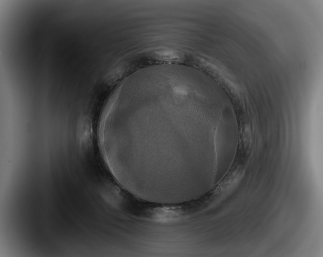 X0000087700320200705111408