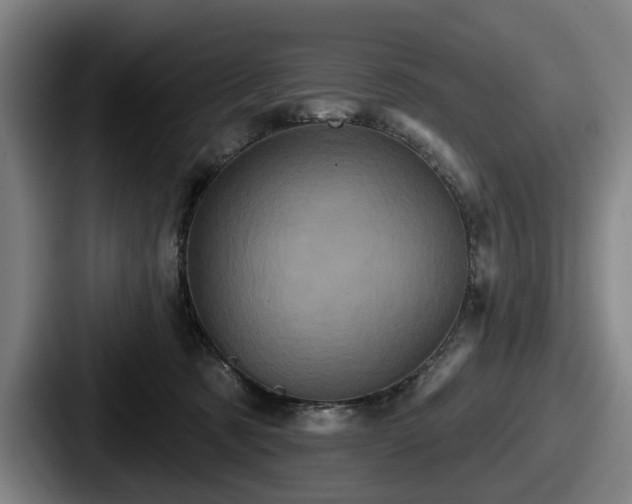 X0000087700321200705111408