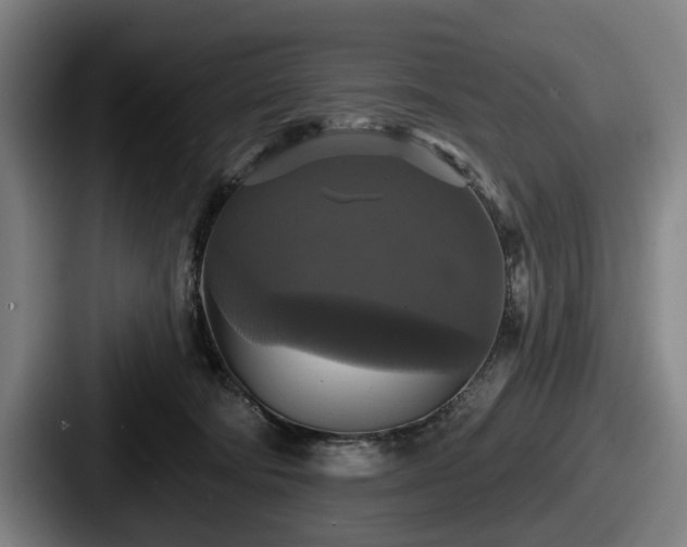 X0000087700322200705111408