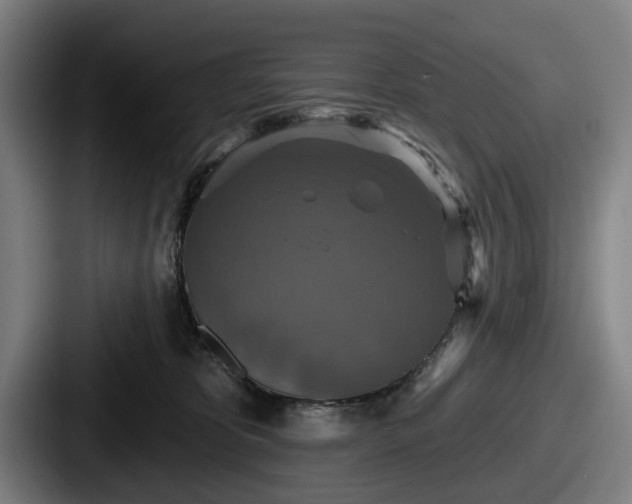 X0000087700325200705111408