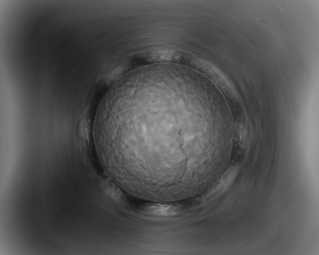 X0000087700326200705111408