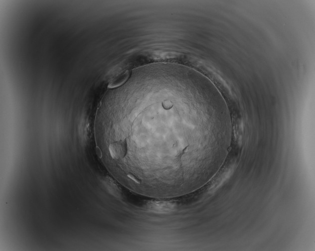 X0000087700327200705111408