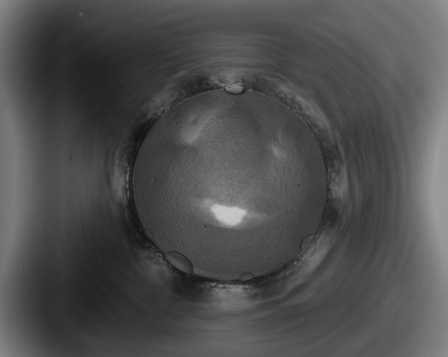 X0000087700332200705111408