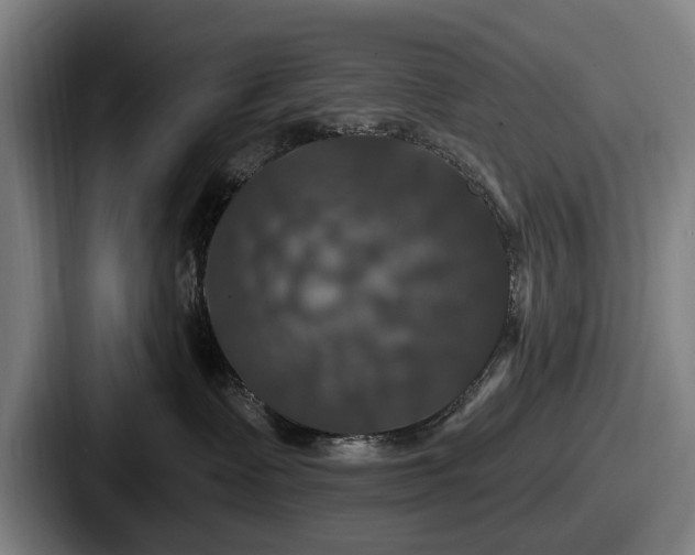 X0000087700335200705111408