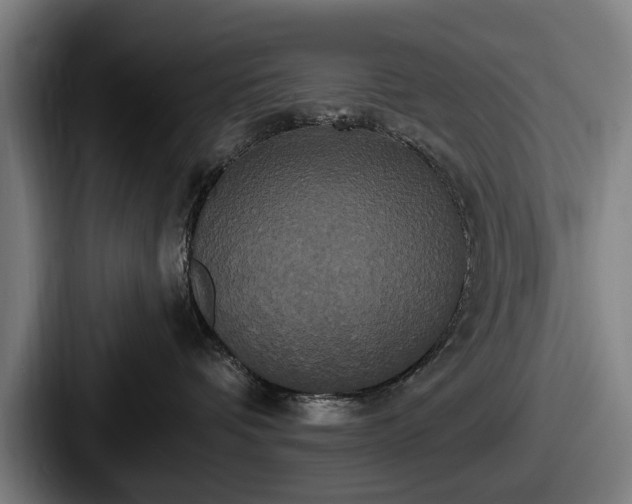 X0000087700336200705111407