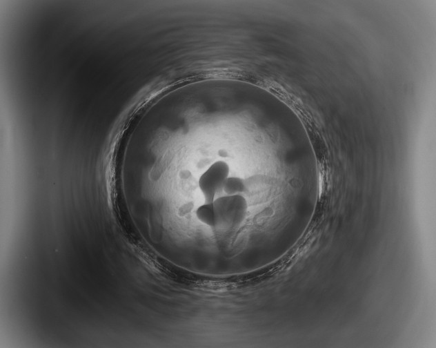 X0000087700339200705111407