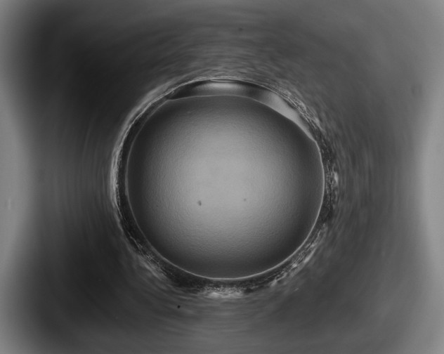 X0000087700340200705111407