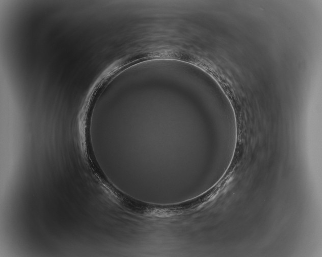 X0000087700341200705111407